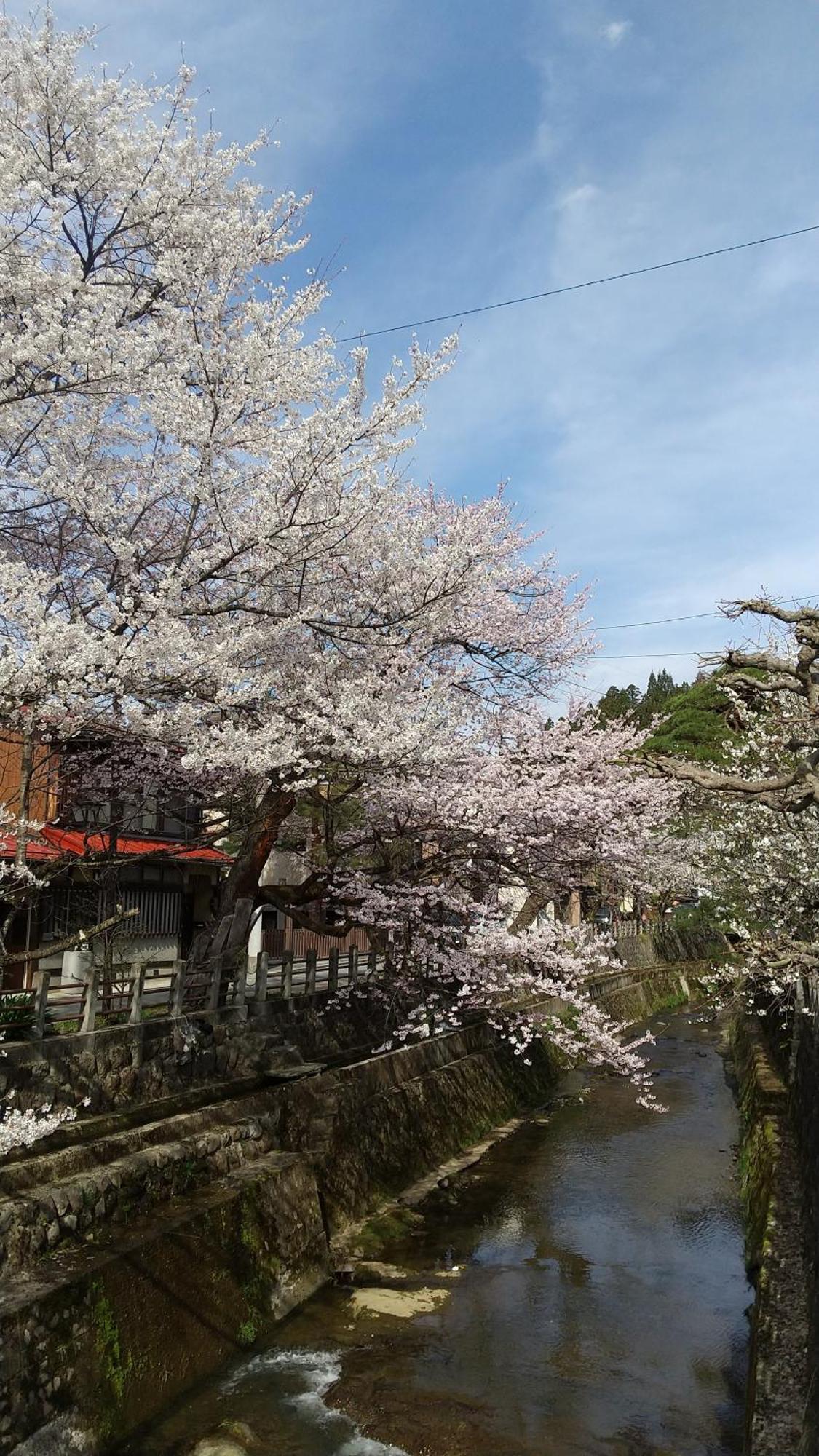 Hotel Daihachi Takajama Exteriér fotografie
